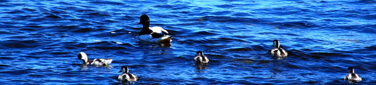 Stacks Image 898